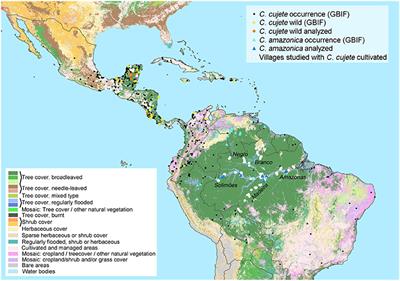 Diversity of Treegourd (Crescentia cujete) Suggests Introduction and Prehistoric Dispersal Routes into Amazonia